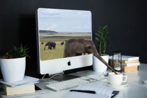 書籍でSEO対策を学ぶメリットとデメリットを理解しよう!